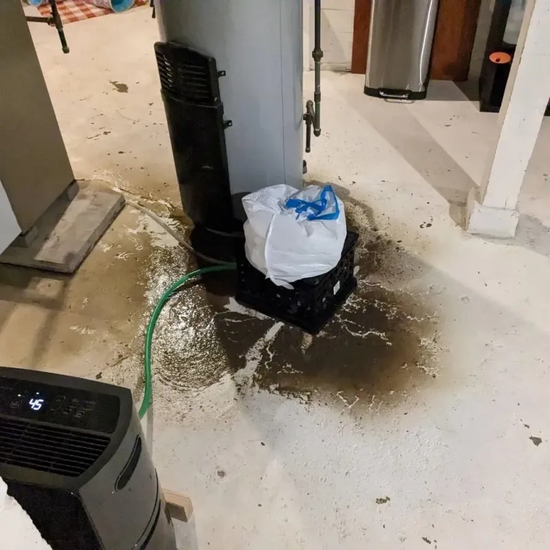 Sewage Backup Cleanup Service in Lebanon South, PA